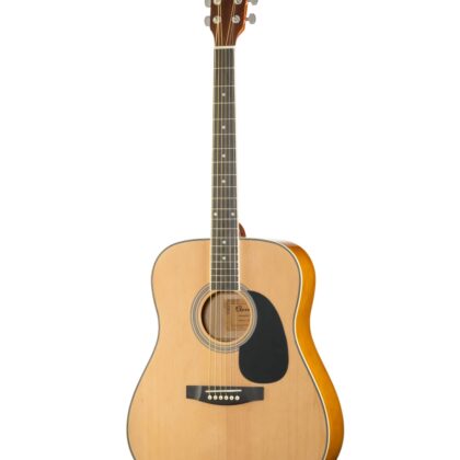 LF-4111-N Акустическая гитара HOMAGE