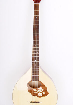 M1089 Irish Bouzouki Бузуки Hora