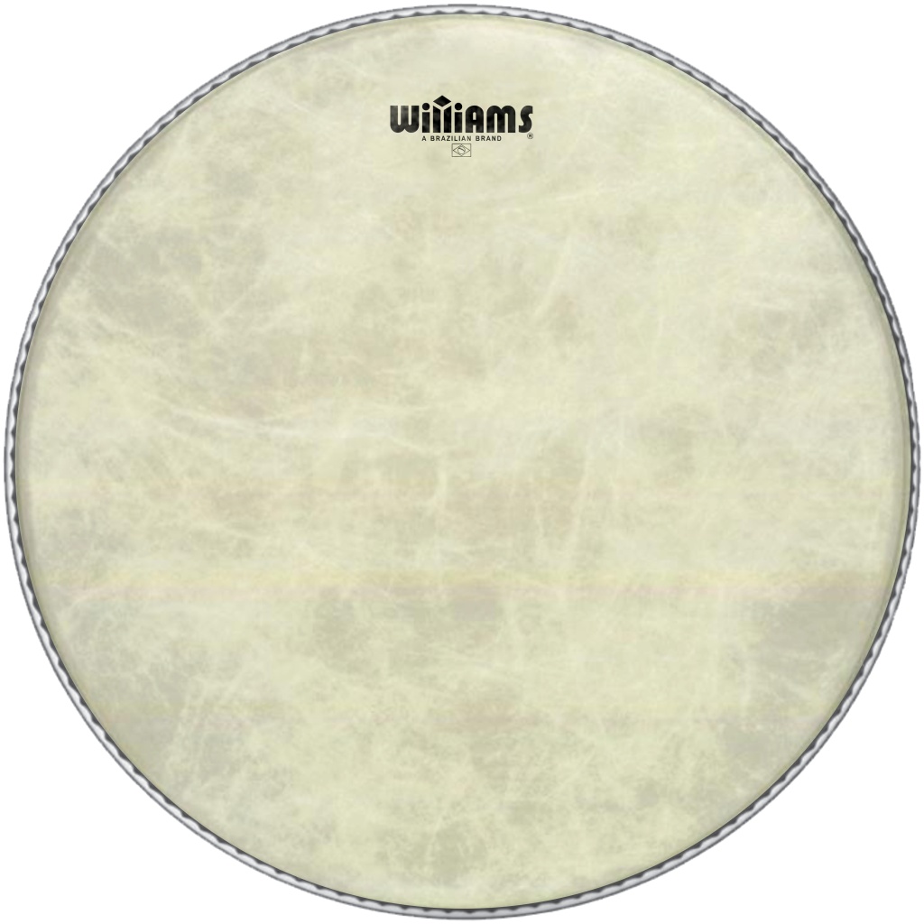 WVT1-11MIL-14k Vintage Tone Series Пластик для малого и том-барабана 14", Williams