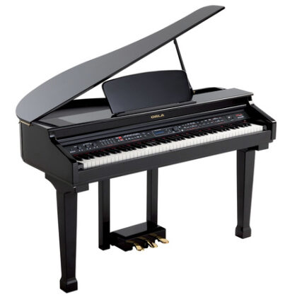 Grand-120-BLACK Цифровой рояль, с автоаккомпанементом, черный (2 коробки), Orla