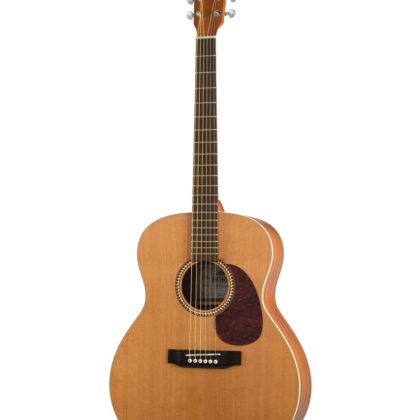 J10400 Jumbo Solo Акустическая гитара, Hora