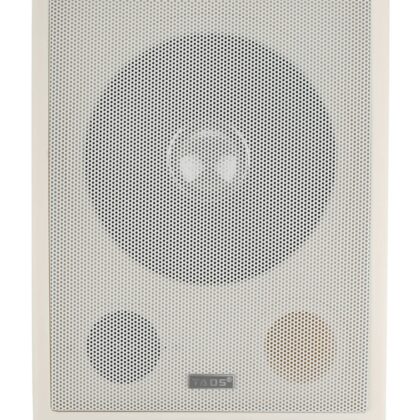 DS-639 Громкоговоритель настенный, 5-10Вт, TADS